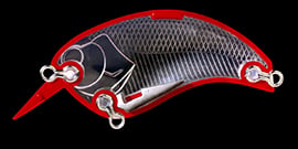 Evoke 1.2 body shape and weight distribution