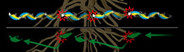 Evoke 1.2 cover penetration