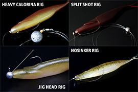 Sakamata Shad Montagen