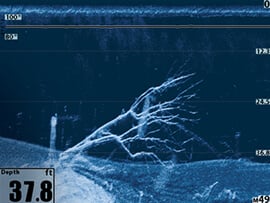 Mega Down Imaging