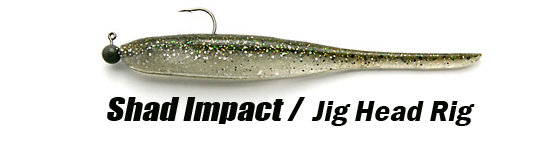 Jig Head Rig