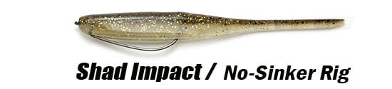 Keitech Shad Impact No-Sinker Rig