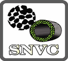 SNVC Logo