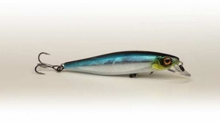 Mogul Minnow