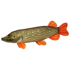 Delphin Soft Toy Fish Cushion 60cm Pike Piky
