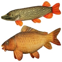 Delphin Soft Toy Fish Cushion 60cm 