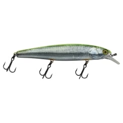 Illex Aurnaud 110 F Lure 18g floating RT Visible Roach