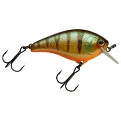 Illex Aska 60 SR Crankbait Aggressive Perch