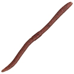 Illex Flick Shake 500 Gummiwurm 4.8" 12cm Ebimiso Red Flake