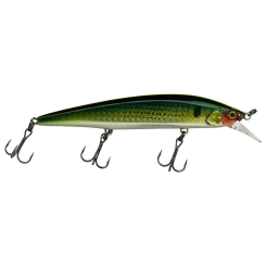 Illex Rerange 110 SP Lure 11cm 14.8g suspending Chart Back Mulet