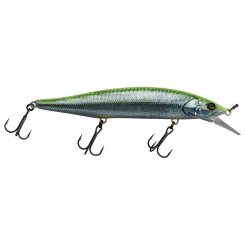 Illex Lure RV Minnow 110 SP RT Visible Roach