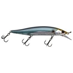 Illex Lure RV Minnow 110 SP Secret Sprat