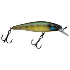 Illex Squad Minnow 65 SP Lure 5,8g suspending Etto Noike Gill