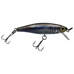 Illex Lure Tiny Fry 50 SP 2.7g suspending RT Baby Vairon