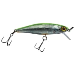 Illex Wobbler Tiny Fry 50 SP 2,7g schwebend RT Visible Roach