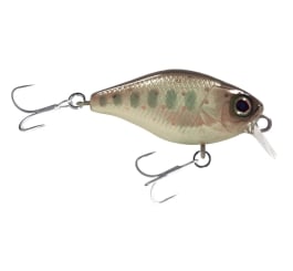 Illex Chubby 38F Wobbler Crankbait 4,0g Truitelle