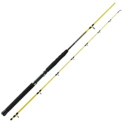 Jenzi Sea rod Continuum Sea Downrigger 10-20lbs 