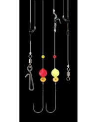 Jenzi Dega English Rig 