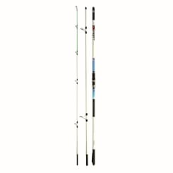 Jenzi Sea Rod Pro X-Pert World Class 4,20m 100-250g 