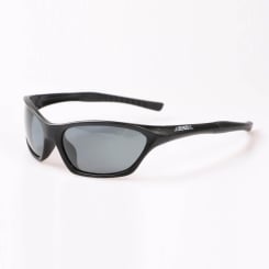 Jenzi Polarisation Glasses Arrow with hard case 