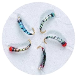 Jenzi Premium Hegenen Hook Striped Holo 