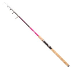Jenzi Teleskoprute Lady Stick 20-50g  3,00m