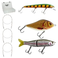 Pike Fishing Set of the Season: A complete Set for your first trips 