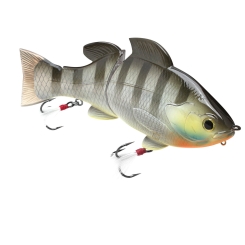 Lucky Craft Real BG 165S Lure Swimbait Nasty BG