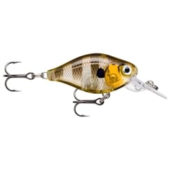 Rapala X-Light Crank Mid Runner Fishing Plug Glassy Gill UV