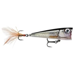 Rapala X-Light Pop Popper Wobbler 4cm Live Roach