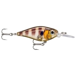 Rapala X-Light Shad Fishing Plug 4cm 4g Glassy Gill UV