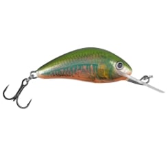 Salmo Hornet Crankbait 3,5cm floating Holo Oikawa