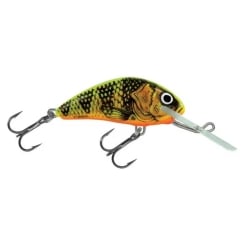 Salmo Hornet lure crankbait gold fluo perch GFP 