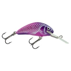 Salmo Hornet Crankbait UV Purple UVP 