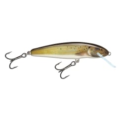 Salmo Minnow Fishing Lure Grayling | 6cm sinking