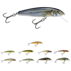 Salmo Minnow Fishing Lure 