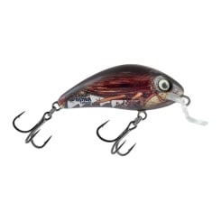 Salmo Lure Rattlin Hornet Shallow Real Cockchafer 