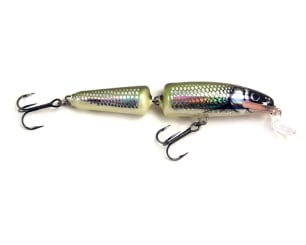 Salmo Fanatic Lure Holo Bleak HBL 7cm 