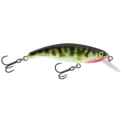 Salmo Slick Stick Lure 6cm 4,5g floating Holo Stickleback HSB