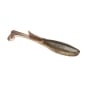 Mudskipper