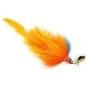 Parrot