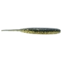 22 Golden Shiner