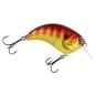 23 Red Gill