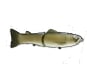 #13 Wild Carp