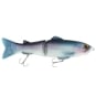 #24 Pro Blue Shiner
