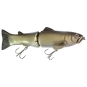 #13 Wild Carp