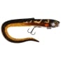 UV Burbot