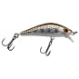 Sight Trout