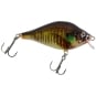 BG Blue Gill