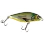 WFO Whitefish Orange